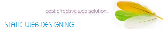 Static web design, static website design, professional web design company in india, top notch web design solutions, top notch web design services, static web page design, affordable website design, designing a website, browser friendly static web design, web design firm, hard core professional web designers